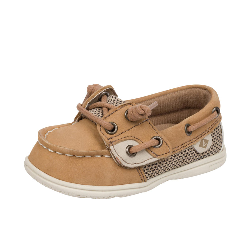 Sperry Kids Toddlers SP Shoresider Brown
